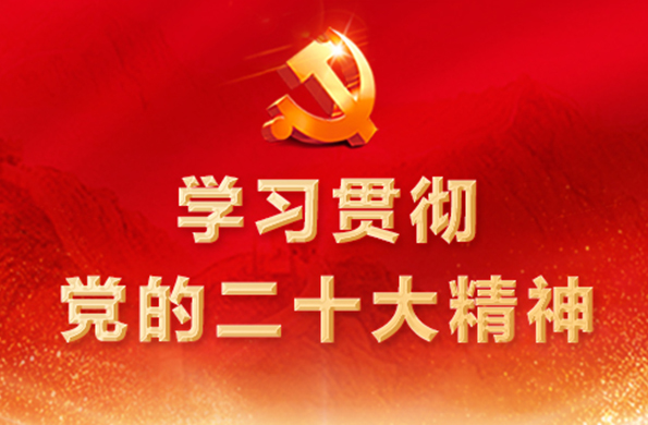 某某省2023年防洪调度与工程抢险演练成功举行  